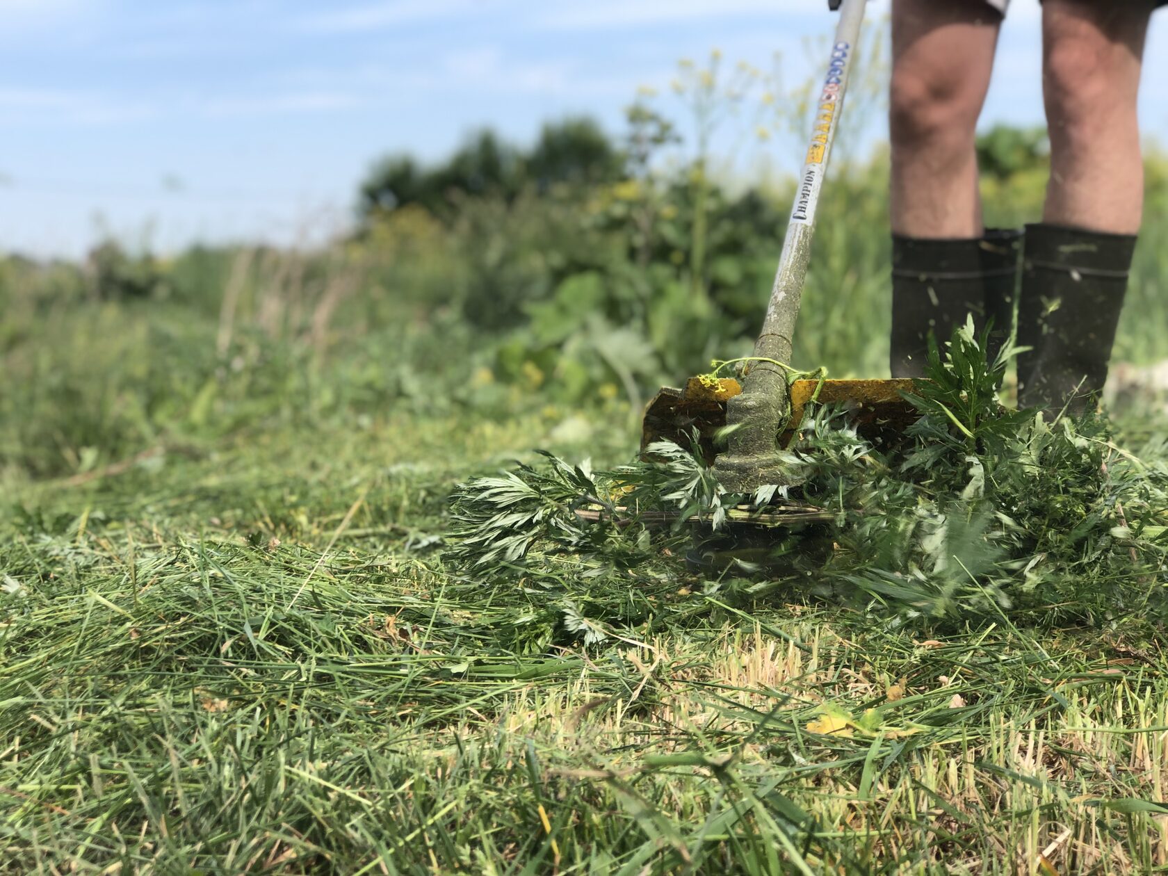 Узнай, как правильно косить траву триммером и ухаживать за участком — ЛЕНПОКОС